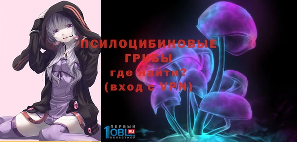 2c-b Алексин