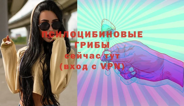 крисы Абаза
